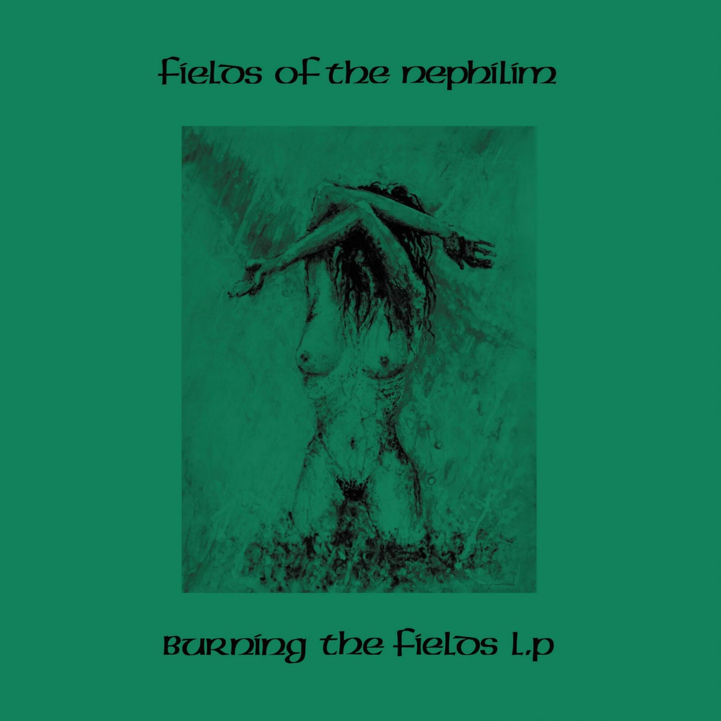 Fields Of The Nephilim - Burning the Fields L.p - Double Lp