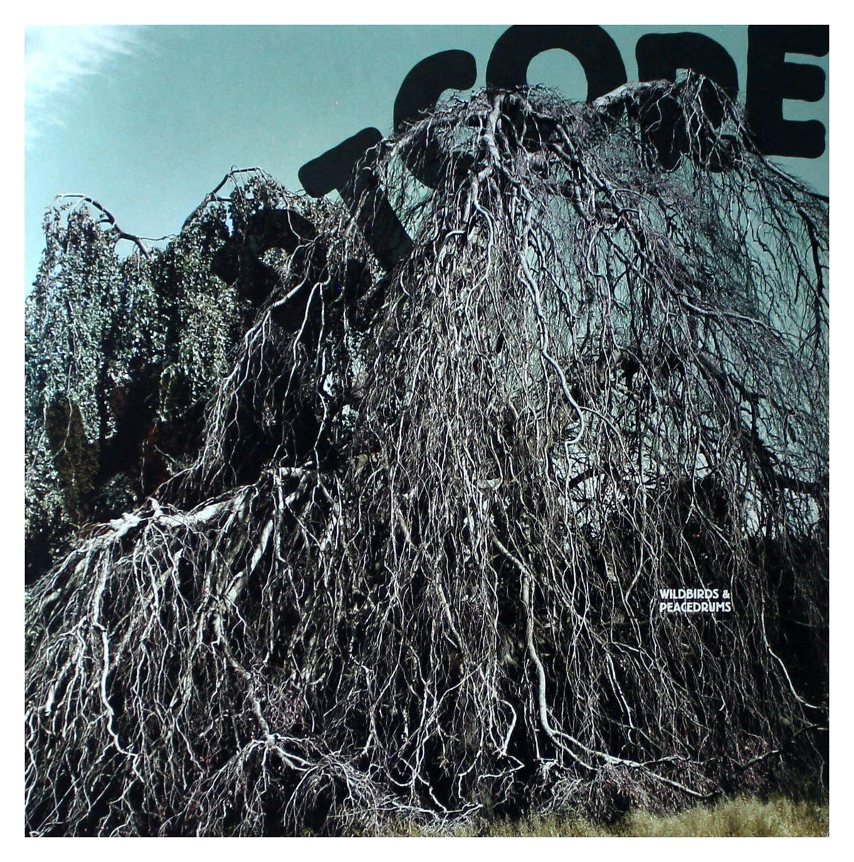 Wildbirds And Peacedrums - Heartcore - Lp