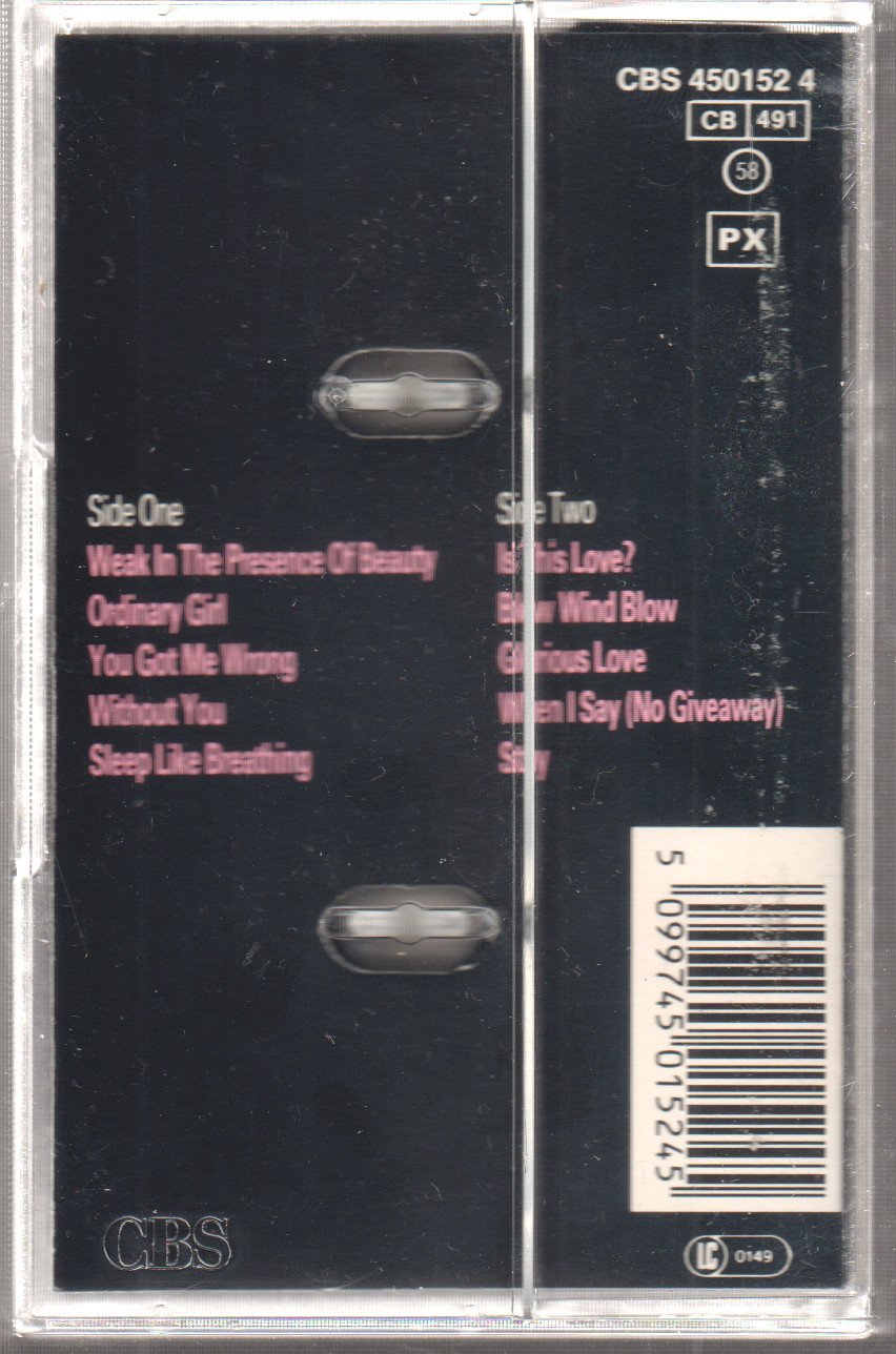 Alison Moyet - Raindancing - Cassette