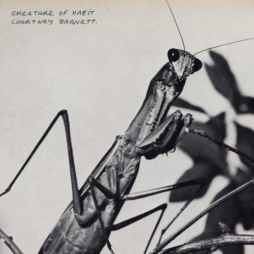 Courtney Barnett - Creature of Habit - Lp