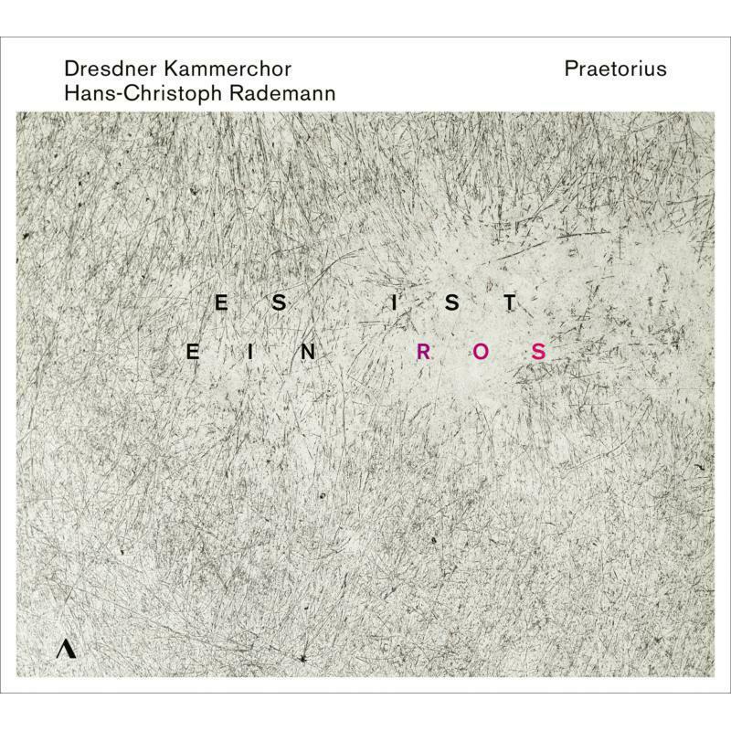 Trio con Brio Copenhagen - Praetorius: Es Ist Ein Ros [dresdner Kammerchor;isabel Schicketanz; Jonathan Mayenschein; Christopher Renz; Martin... - Cd