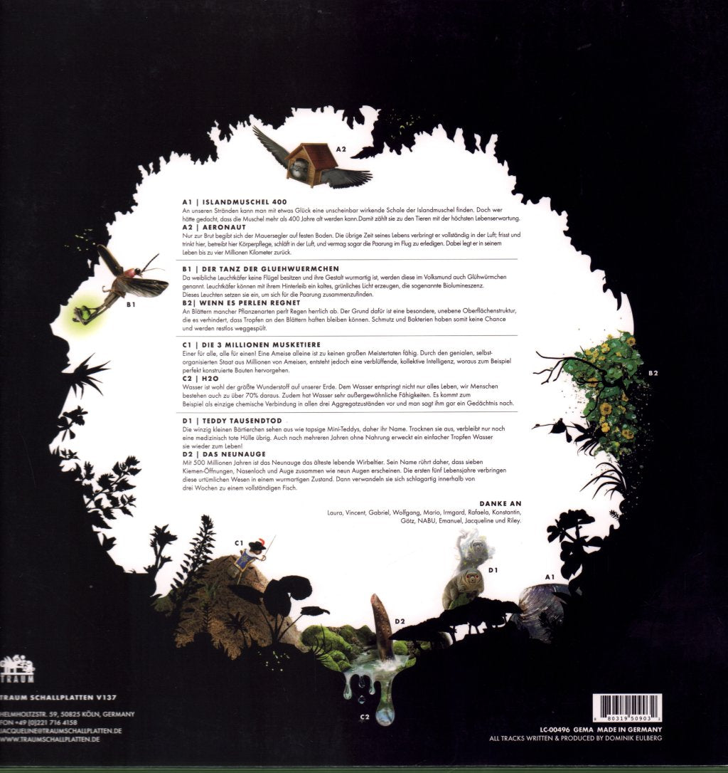 Dominik Eulberg - Diorama - Double Lp