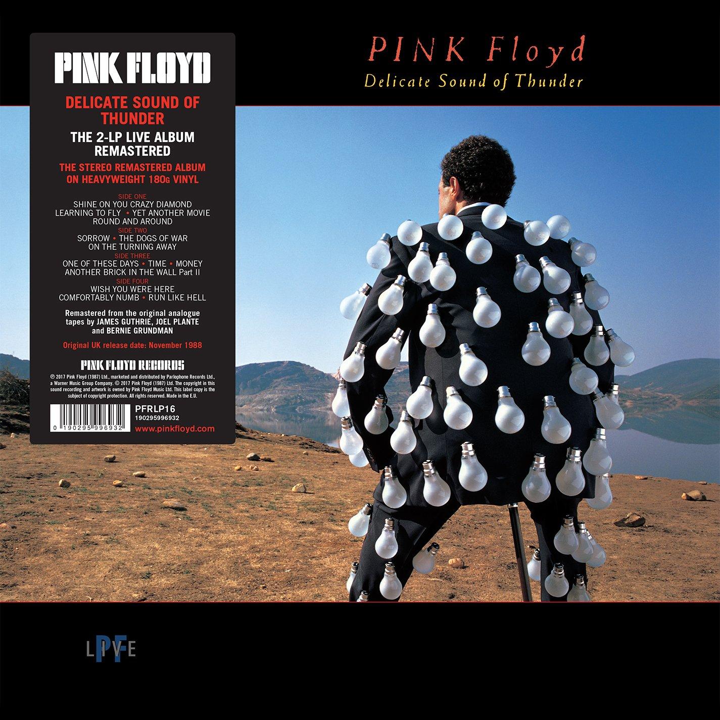 Pink Floyd - Delicate Sound of Thunder - Double Lp