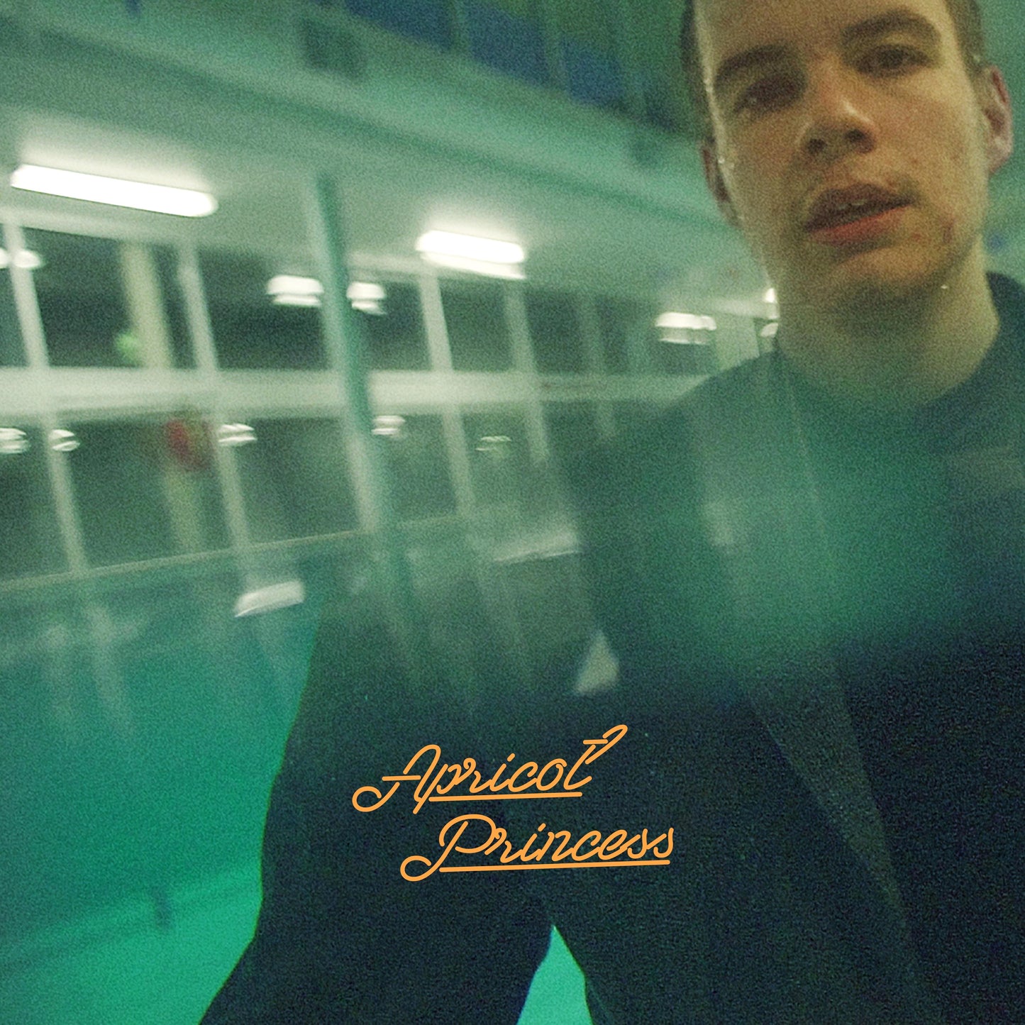 Rex Orange County - Apricot Princess 5 Year Anniversary Edition (RSD2022) - Double Lp