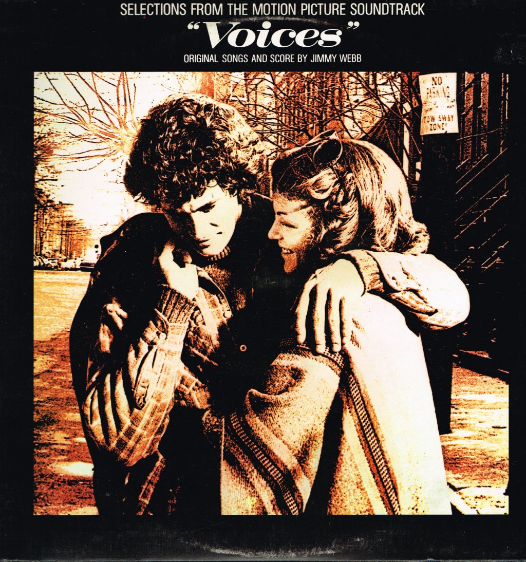 Voices (Soundtrack) - Selections From The Motion Picture Soundtrack - Lp