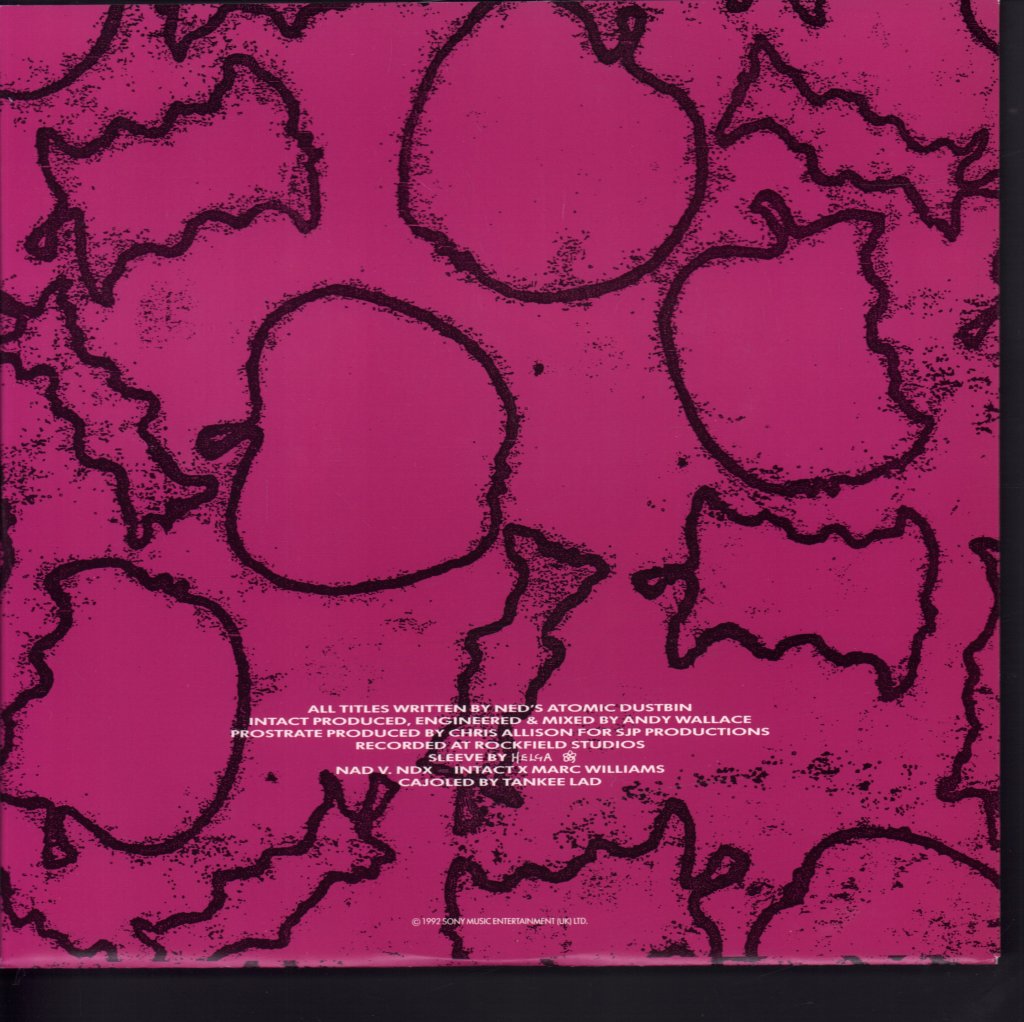 Ned's Atomic Dustbin - Intact - 10 Inch