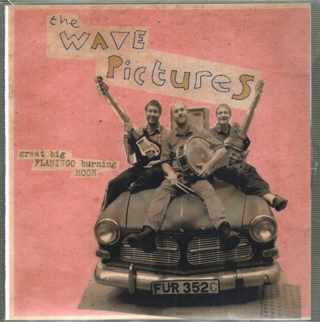 Wave Pictures - Great Big Flamingo Burning Moon - Cdr