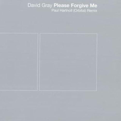 David Gray - Please Forgive Me 2020 - Lp