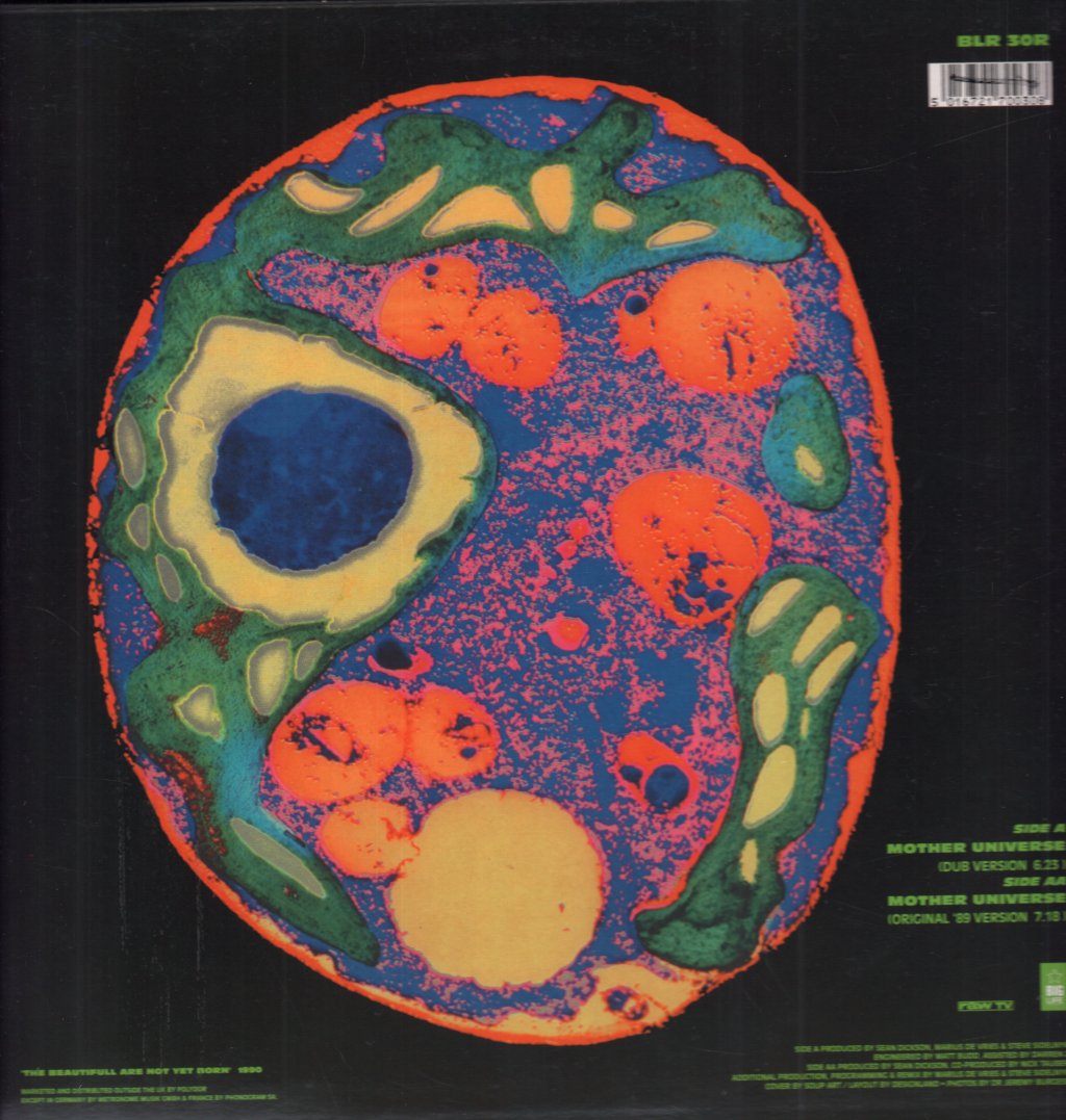 Soup Dragons - Mother Universe - 12 Inch