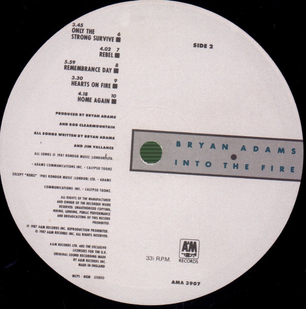 Bryan Adams - Into The Fire - Lp