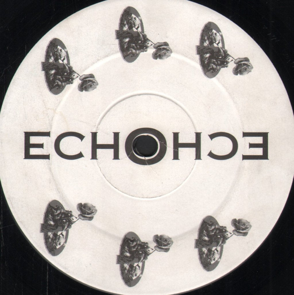 Echo - Avalanche - 12 Inch