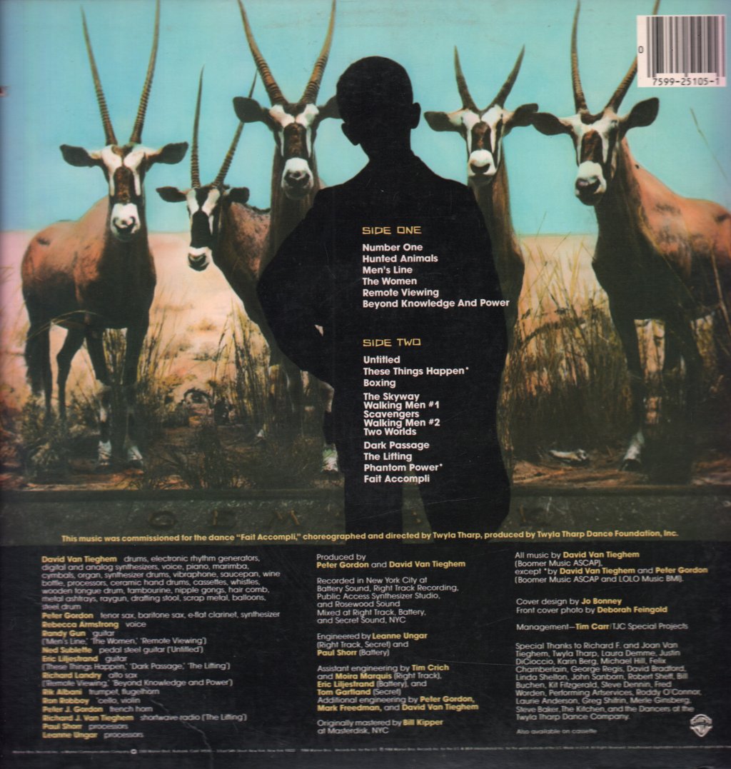 David Van Tieghem - These Things Happen - Lp