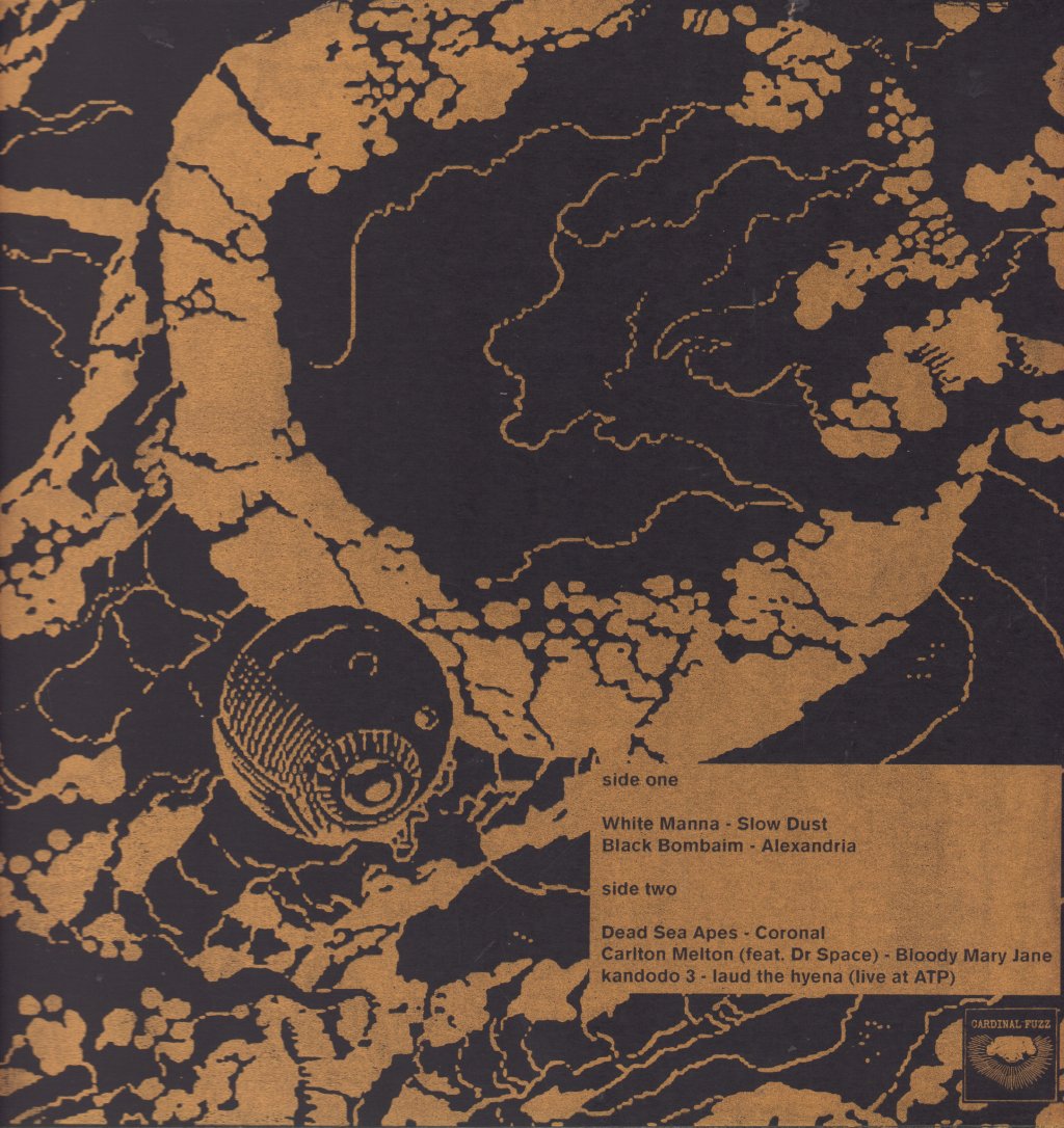 Various Artists - Stay Holy! - Lp
