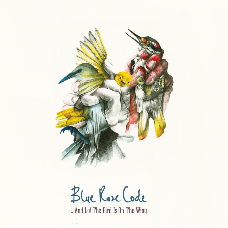 Blue Rose Code - And Lo! the Bird Is On the Wing - Cd