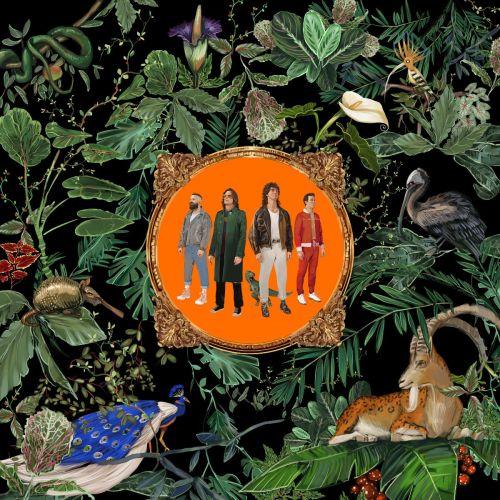 Don Broco - Amazing Things - Cd