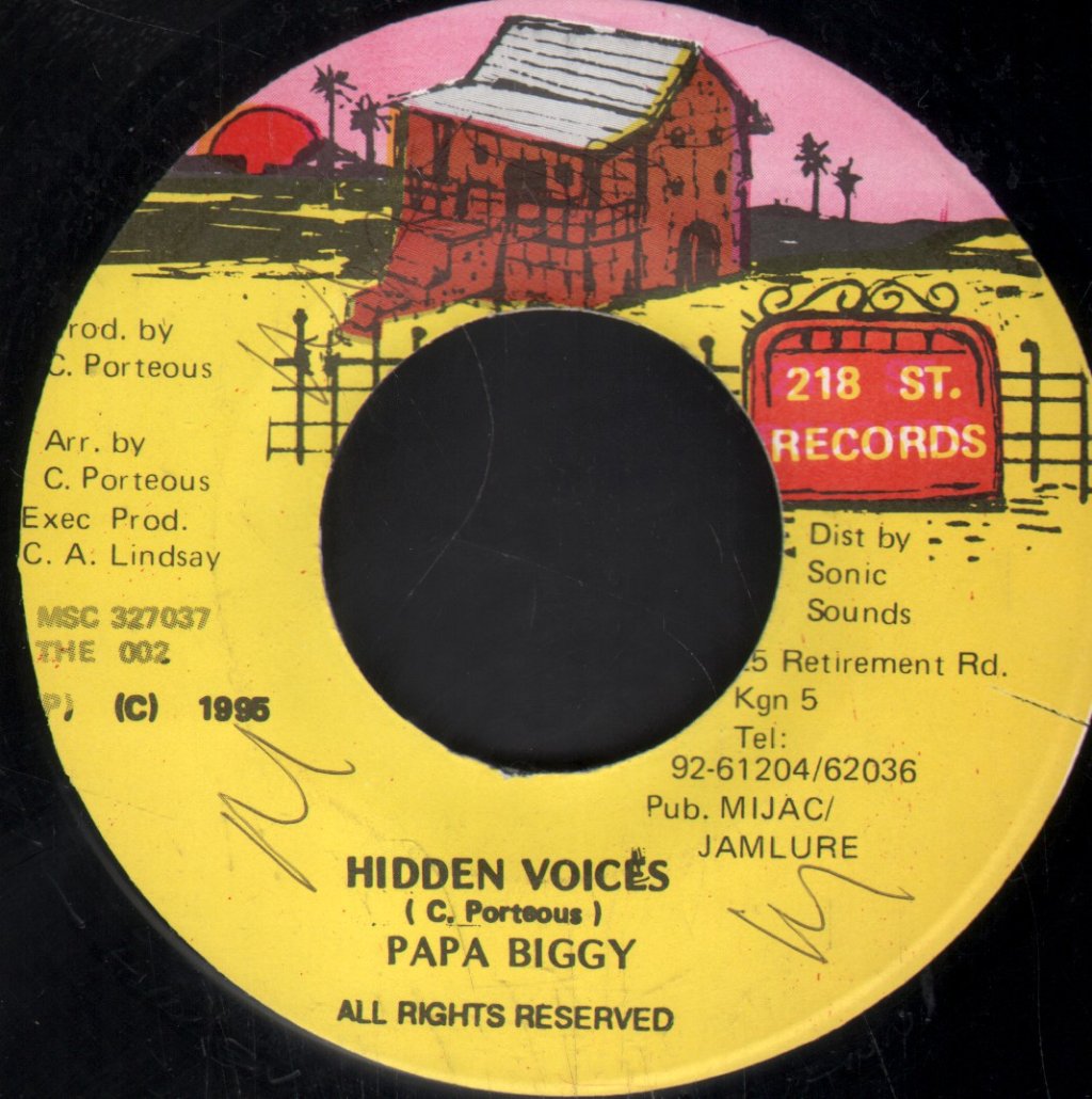 Papa Biggy - Hidden Voices - 7 Inch