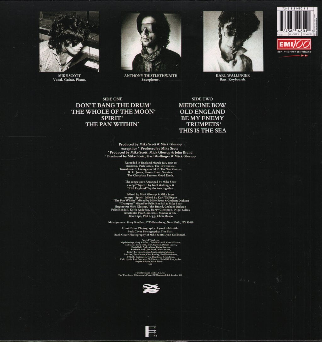 Waterboys - This Is The Sea - Lp