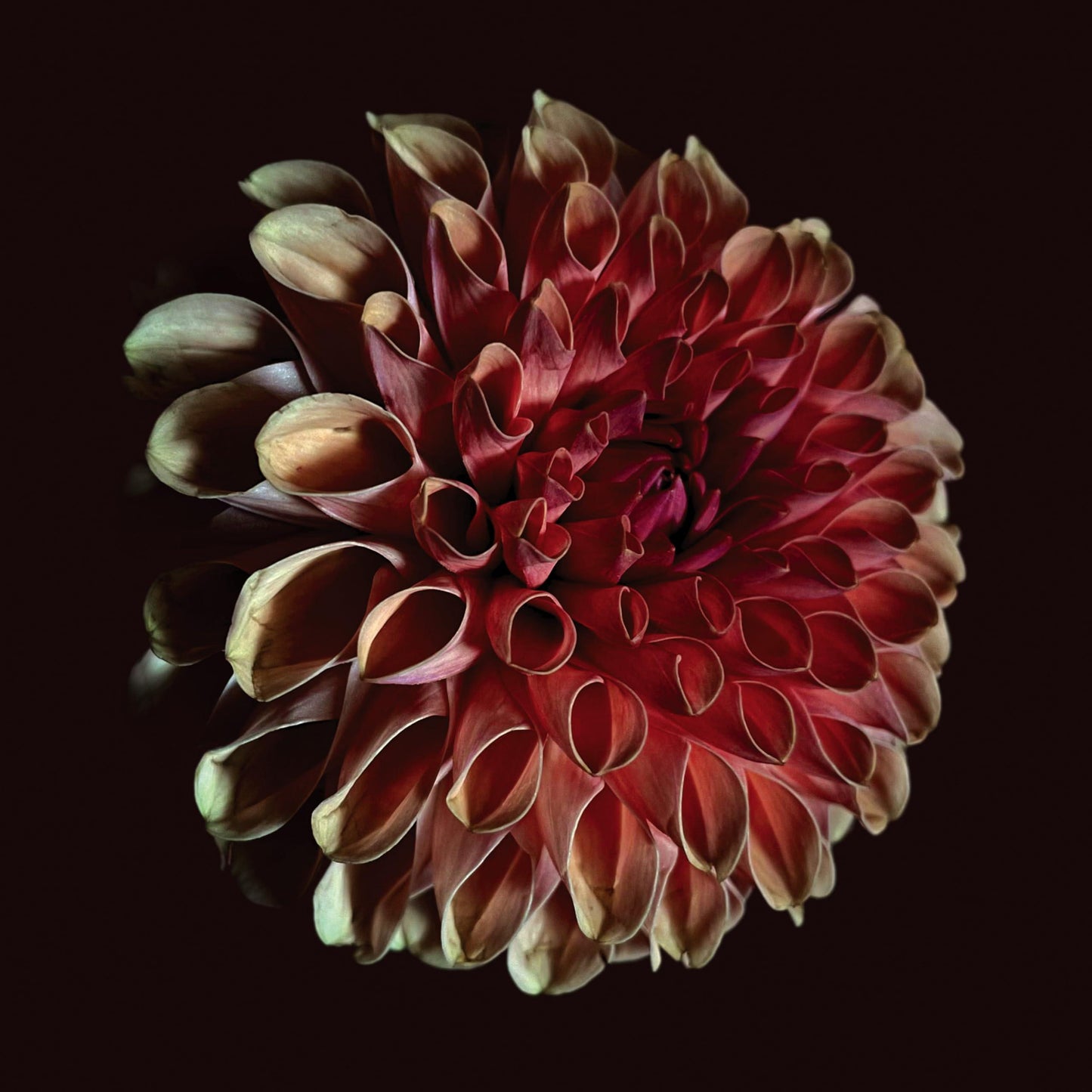 Jessica Moss - Unfolding - Lp