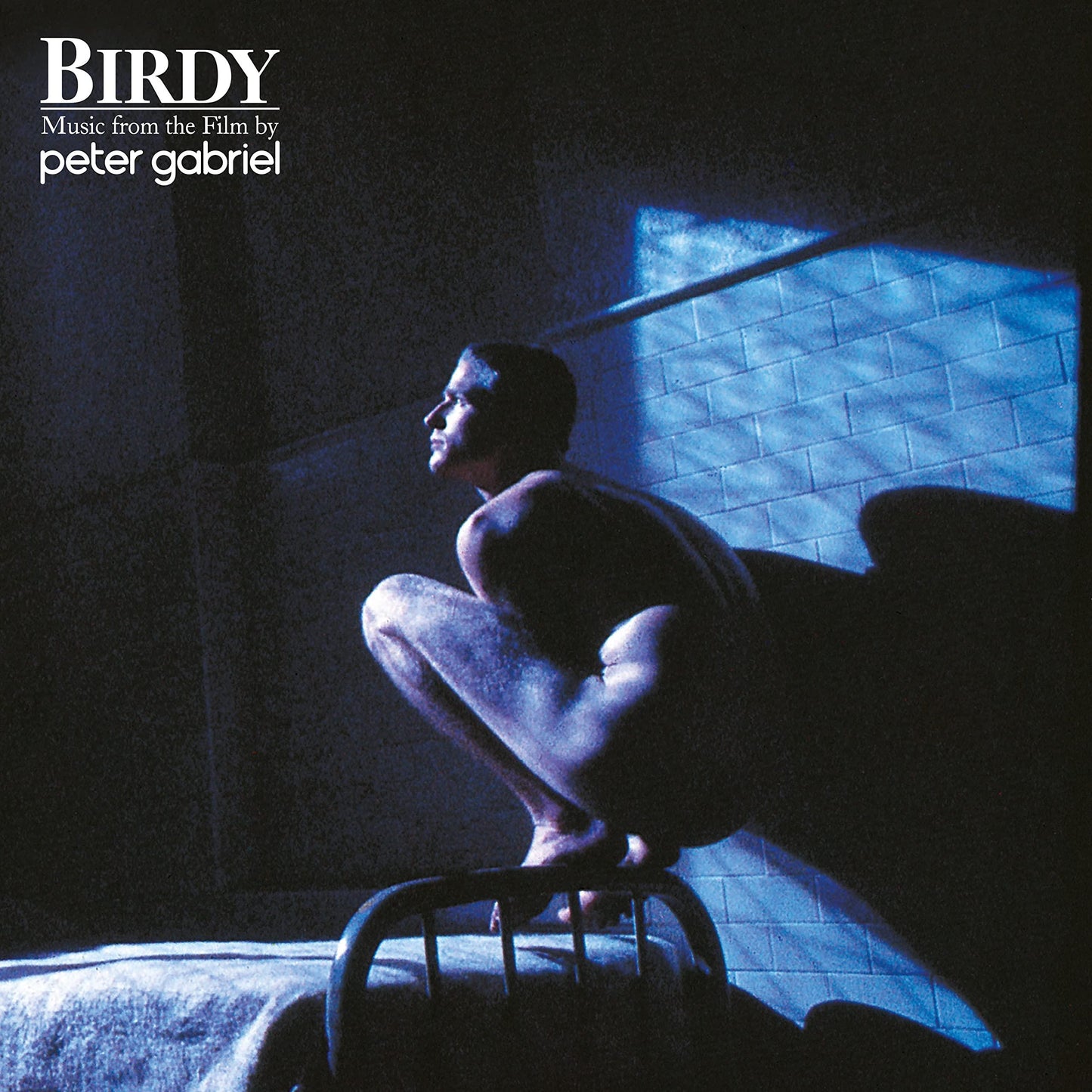 Peter Gabriel - Birdy - Lp