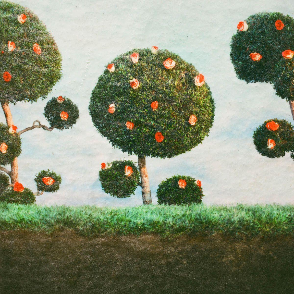 Midnight Sister - Painting the Roses - Cd