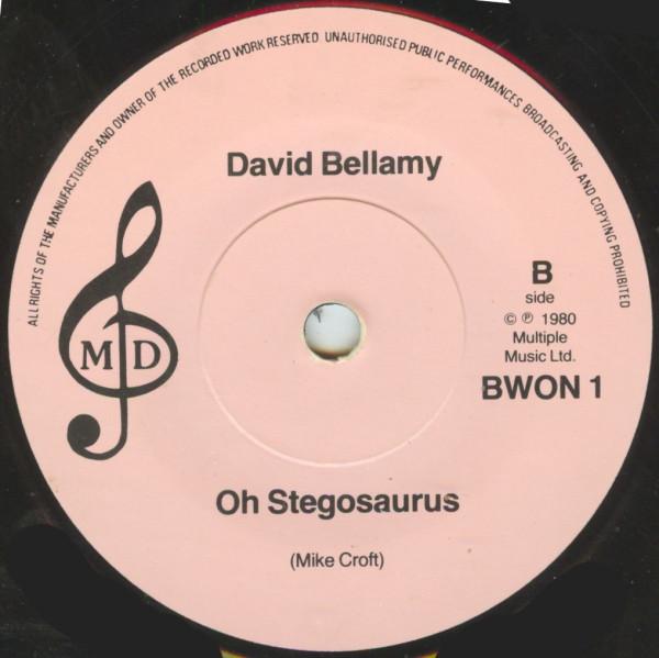 David Bellamy - Brontosaurus Will You Wait For Me? - 7 Inch