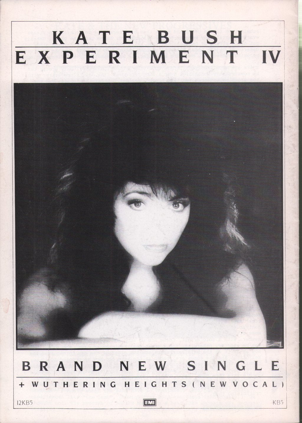 Kate Bush - Under The Ivy - Fanzine