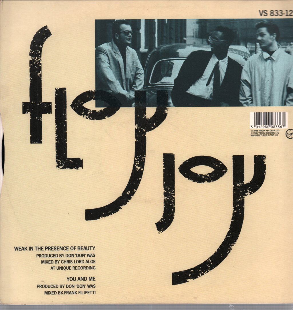 Floy Joy - Weak In The Presence Of Beauty - 12 Inch