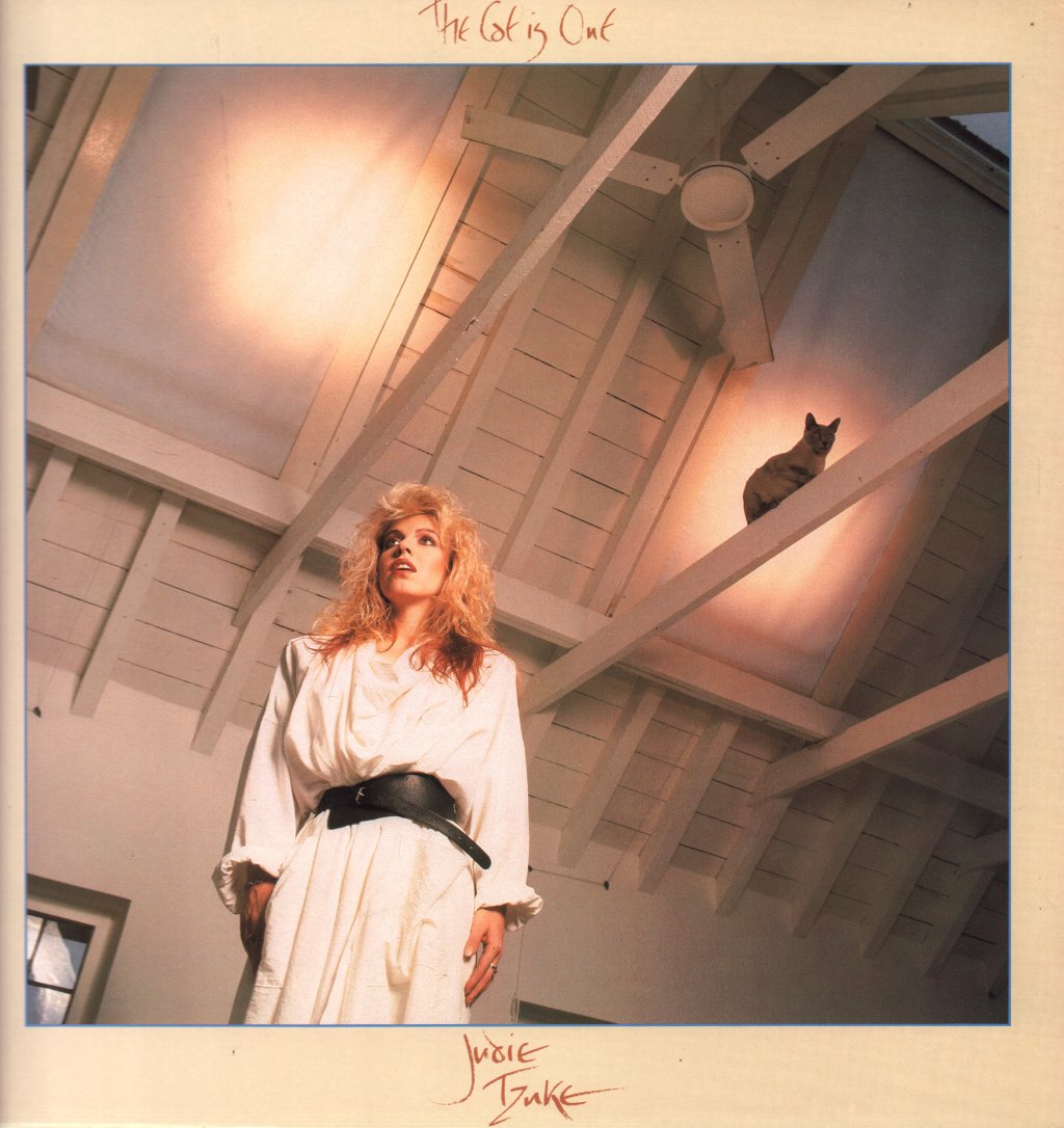 Judie Tzuke - Cat Is Out - Lp