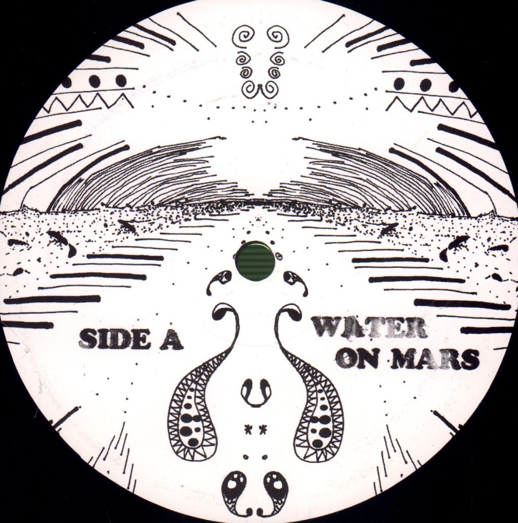Purling Hiss - Water On Mars - Lp