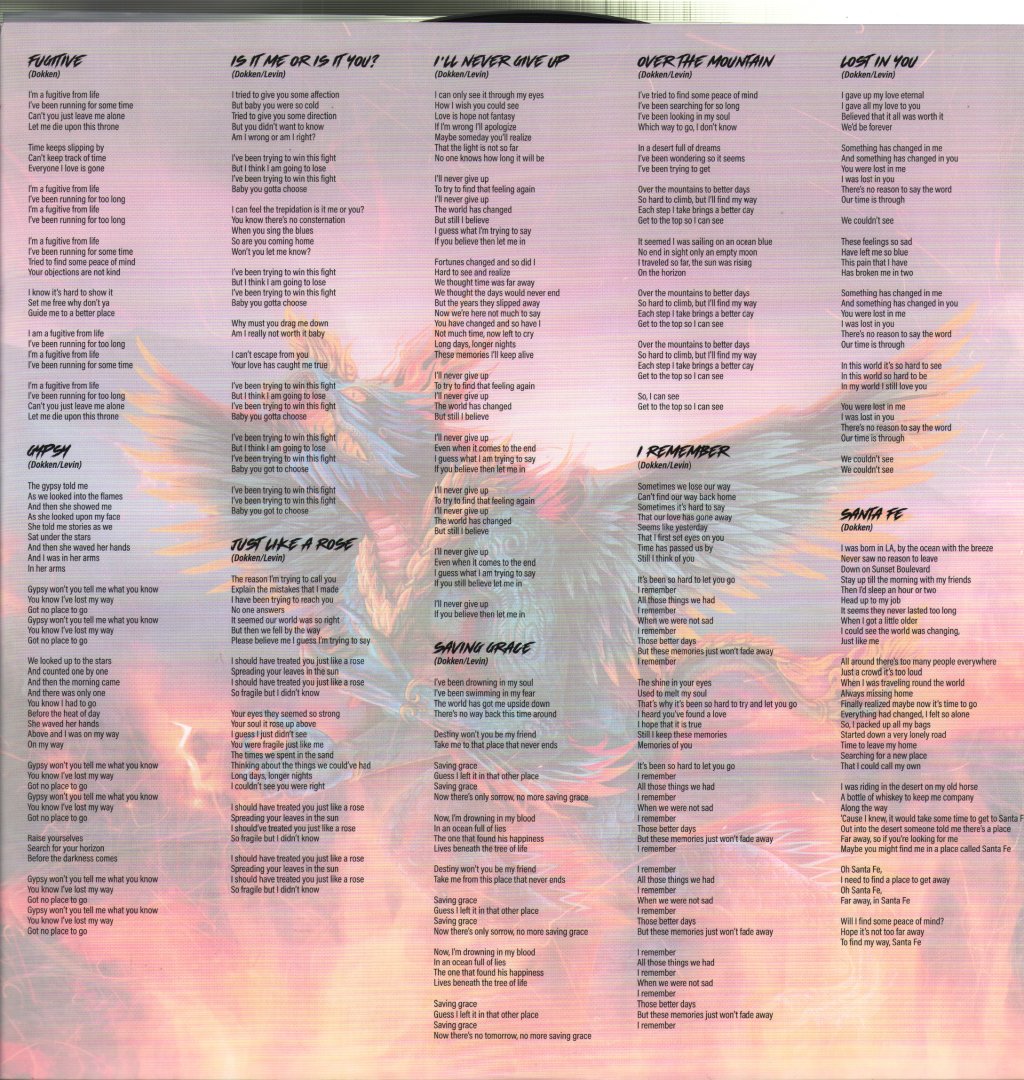 Dokken - Heaven Comes Down - Lp
