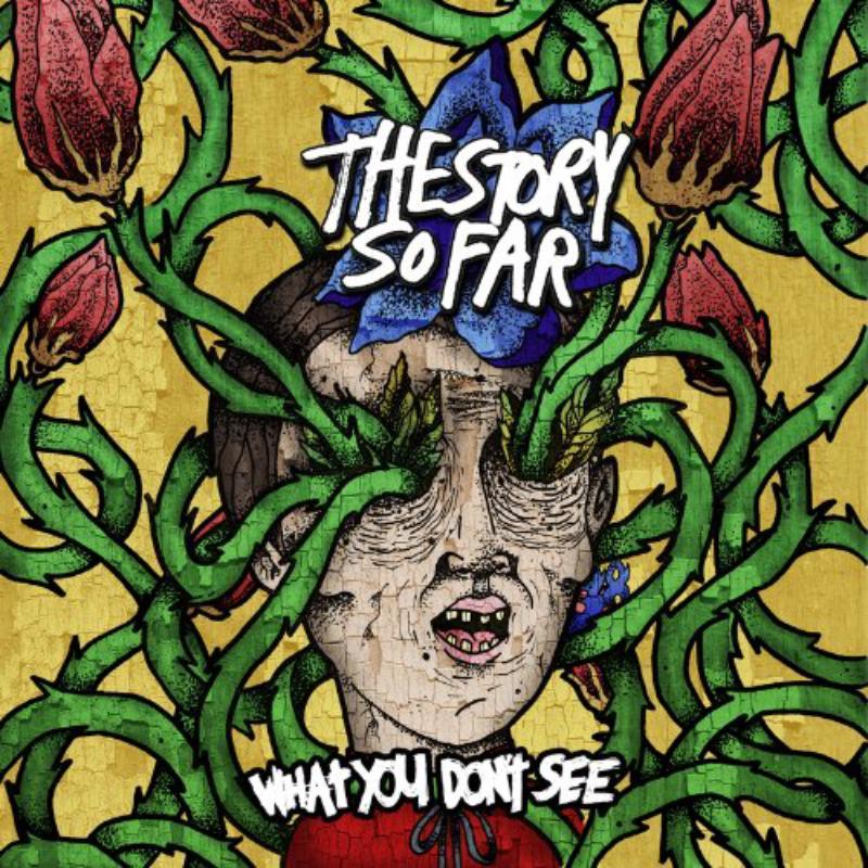 Story So Far - What You Don't See - Lp