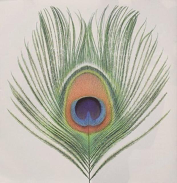 XTC - Apple Venus - Lp