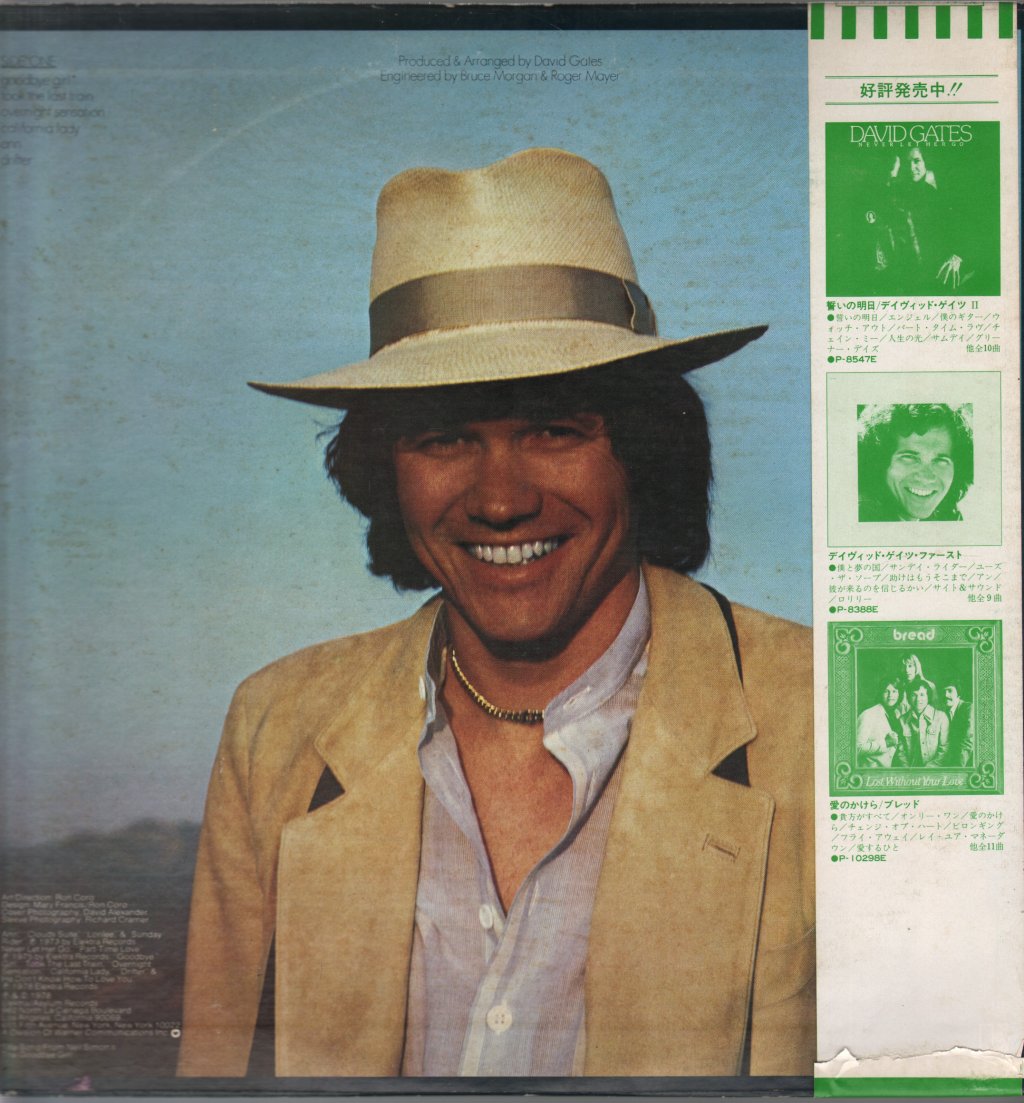 David Gates - Goodbye Girl - Lp