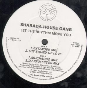 Sharada House Gang - Let The Rhythm Move You - 12 Inch