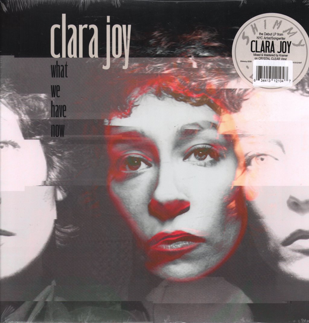 Clara Joy - What We Have Now - Lp