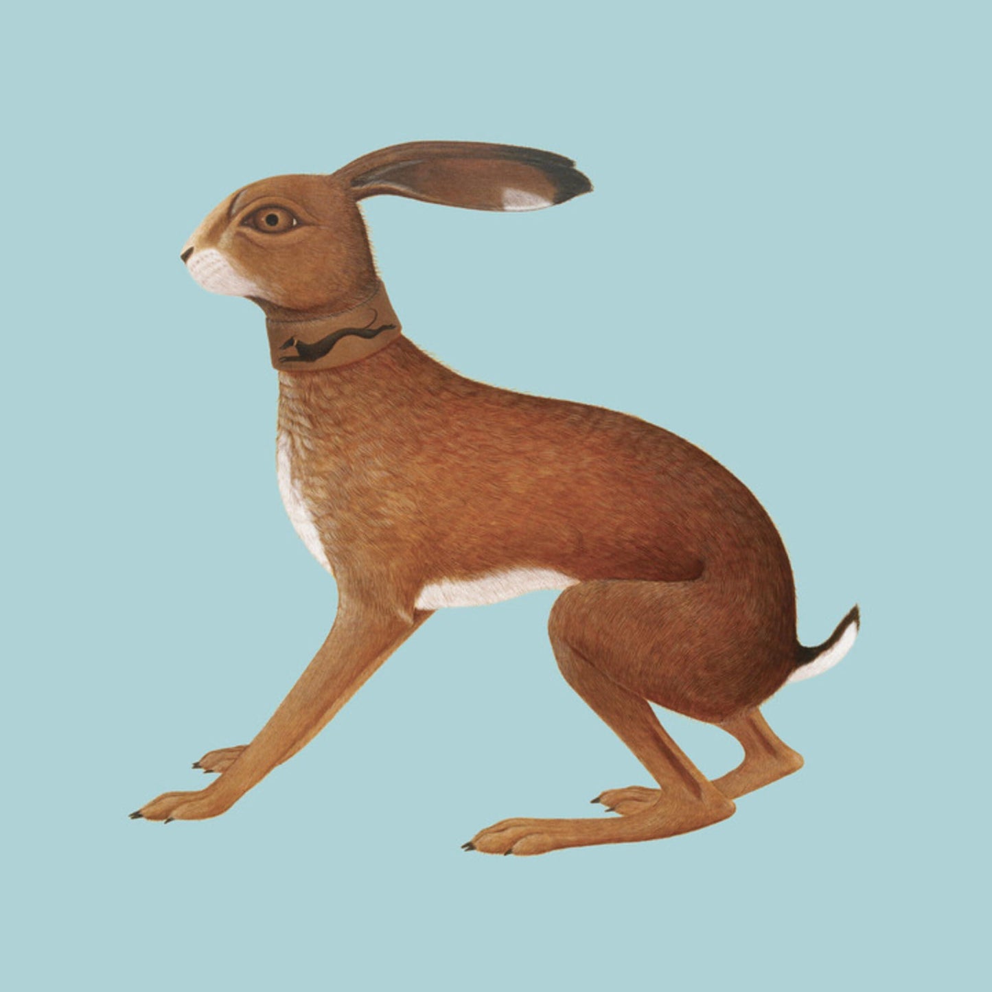 Vashti Bunyan - Lookaftering (Expanded Edition) - Double Lp