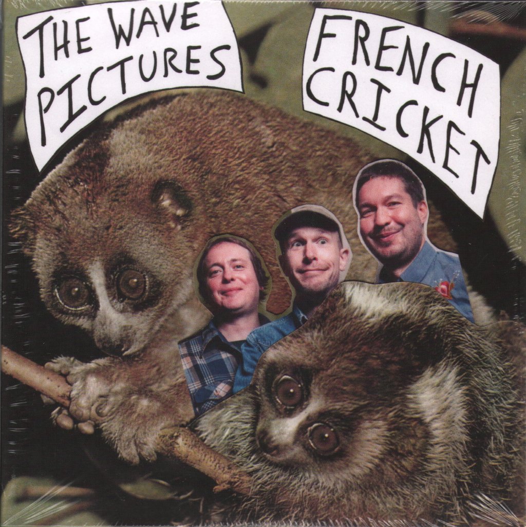 Wave Pictures - French Cricket - Double 7 Inch