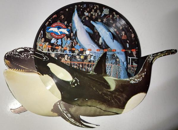 Henk Van Ulsen, Conny Vink, Linda de Vos, Sacco Van Der Made, Cor Witsche, Clous van Mechelen - Kom En Kijk In Harderwijk - 12 Inch