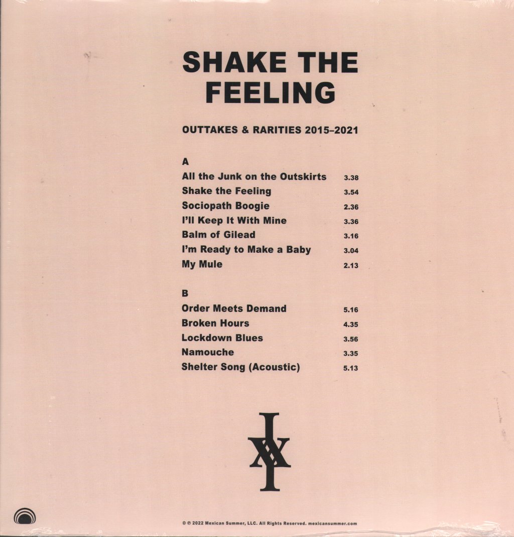 Ice Age - Shake the Feeling: Outtakes & Rarities 2015-2021 - Lp