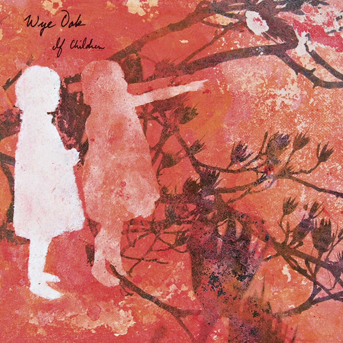 Wye Oak - If Children - Cd