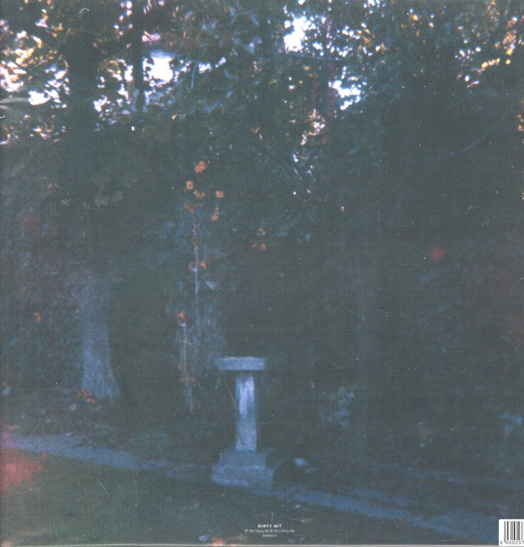 Wolf Alice - Visions Of A Life - Double Lp