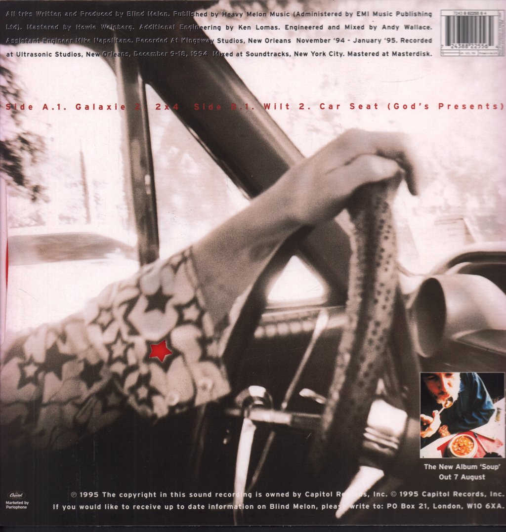 Blind Melon - Galaxie - 12 Inch
