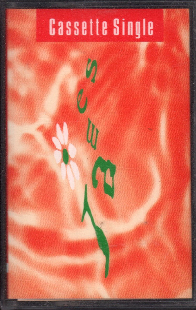 James - Lose Control - Cassette