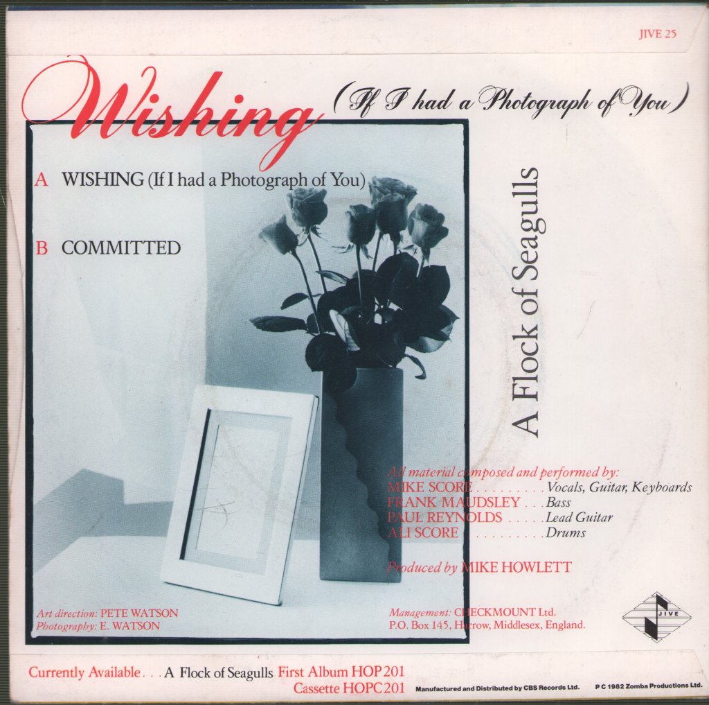 A Flock Of Seagulls - Wishing - 7 Inch