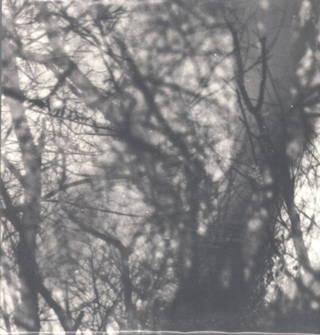 Grouper - Way Their Crept - Lp