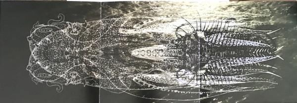 ocean / burst - Ocean / Burst - 7 Inch
