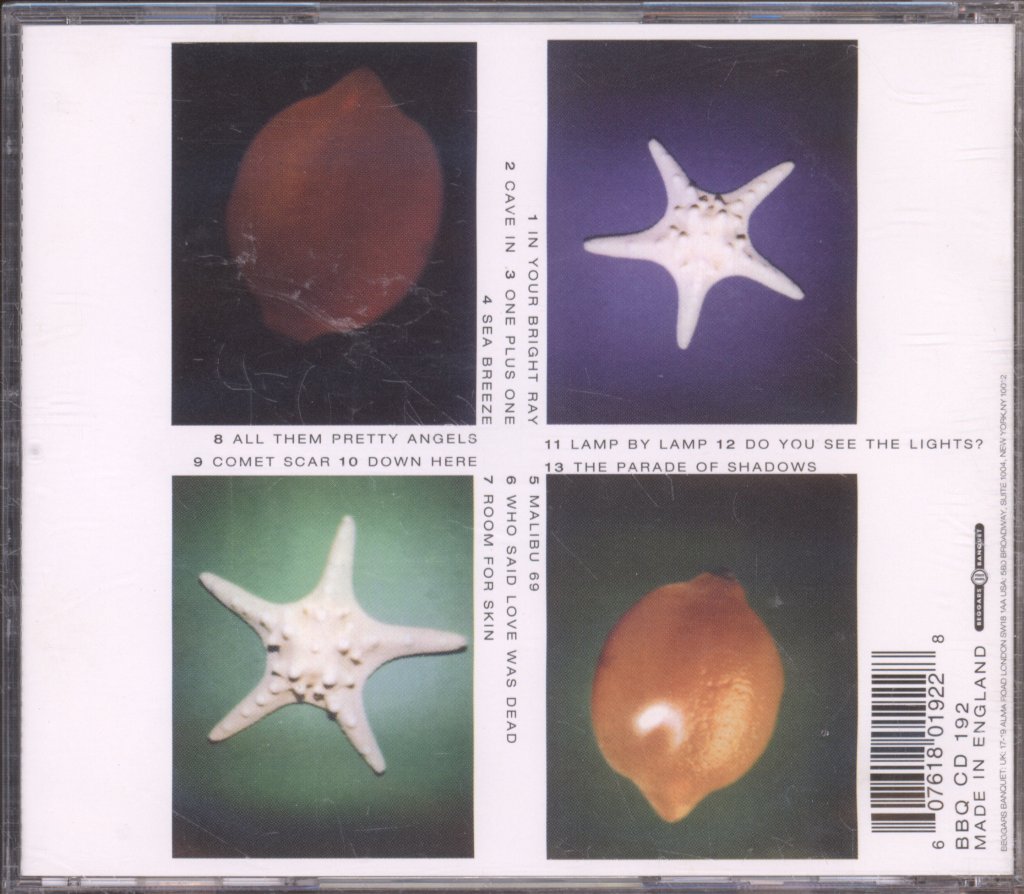 Grant McLennan - In Your Bright Ray - Cd