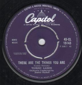 Tommy Sands - These Are The Things You Are - 7 Inch