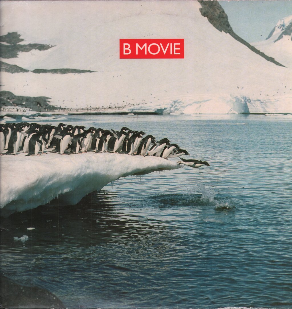 B Movie - Polar Opposites - 12 Inch