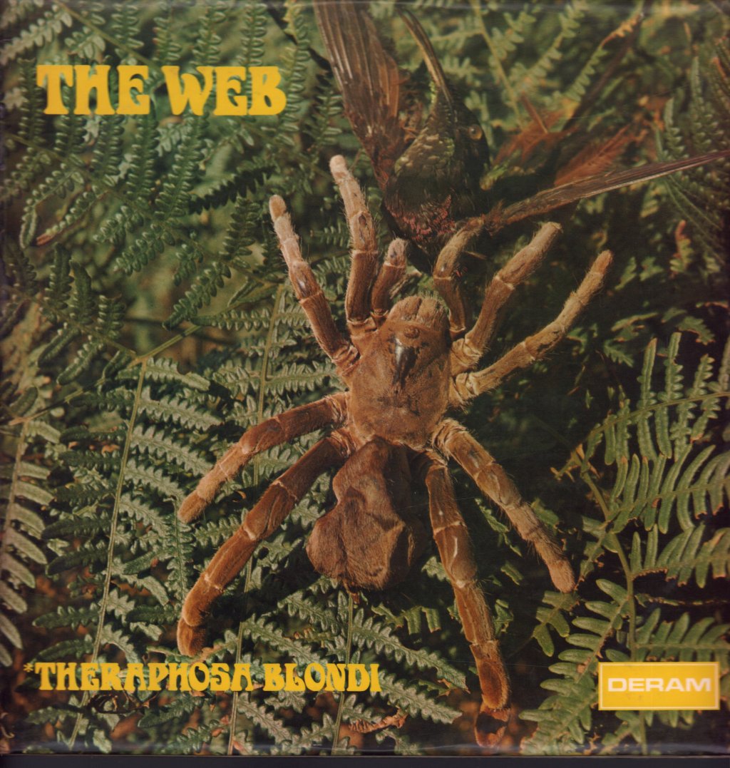 Web - Theraphosa Blondi - Lp